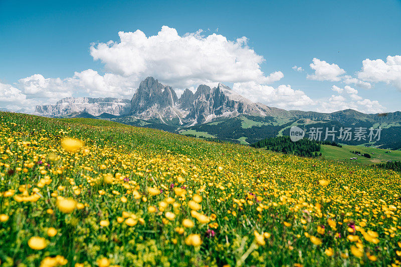 Alpe di Siusi与Sassolungo, Langkofel山脉群在Dolomites，意大利